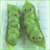 CUTE PEAS