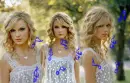 Taylor Swift Art