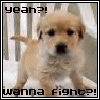 Bring it!