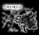 zodiac sign taurus