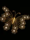 buterfly