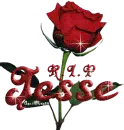 red rose rip r.i.p r i p jesse