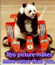 racing panda