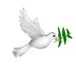 dove