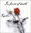 Red White Roses