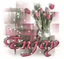 Enjoy