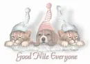 Goodnite Friends