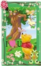 winnie the pooh with a butterfly on his nose