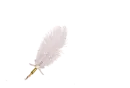 Feather Pen Cream - Nimue