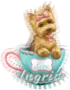 Cup of Love Yorkie - Ingrid