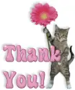 thank you