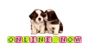 puppies