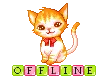 kitty