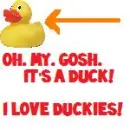Rubber Duckie