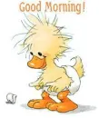 good morning ducky
