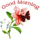 good morning