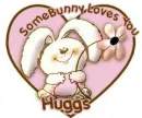 bunny hugs