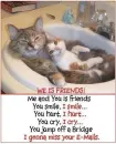 kitty friends