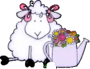Lambs