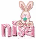 nisa