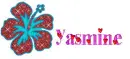Yasmine-Hibiscus