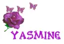 Yasmine-Butterfly Rose