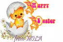 Happy Easter little yellow chick glitter in egg