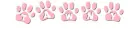 paw prints