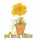 good morning