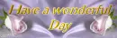 A Wonderful Day