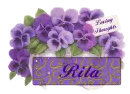 Pansies for Loving Thoughts - Rita
