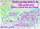 things in life ann