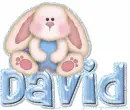 david