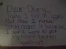 Dear Diary