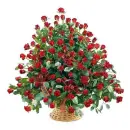 100 Roses