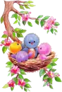 Cute Baby Birds In Nest