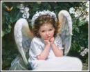 baby angel