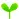 sprout