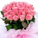 pink roses