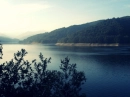 Sweet Landscape