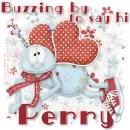 lady bug