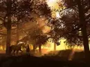 Link & Epona