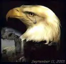 911 eagle