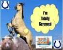 colts