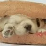 now wheres the mustard.....