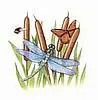 dragonflies and butterflys