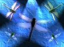 glass dragonflys