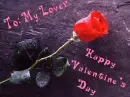 to my lover