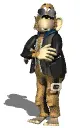 monkey