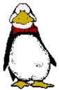 penguin
